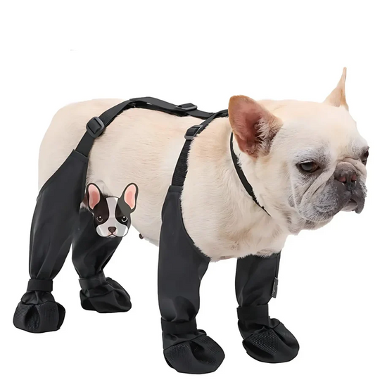 Damen Stiefel mit Straps und Rutschfester Sohle, Plateau Stiefel für Herbst und Winter 0