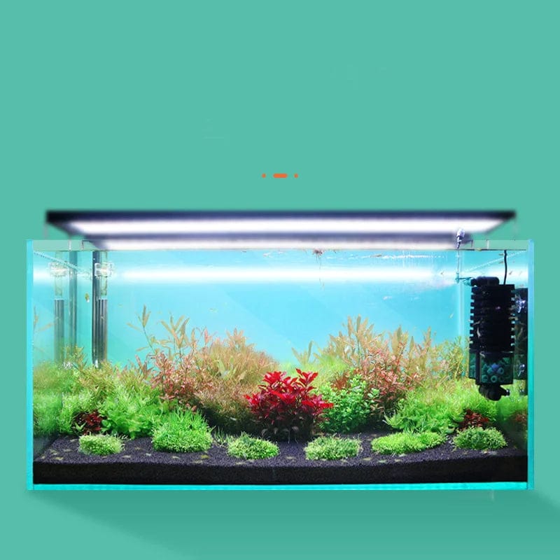 Elektrischer Wasserschwamm für Aquarium Zubehör mit USB-Reinigungstechnologie 1