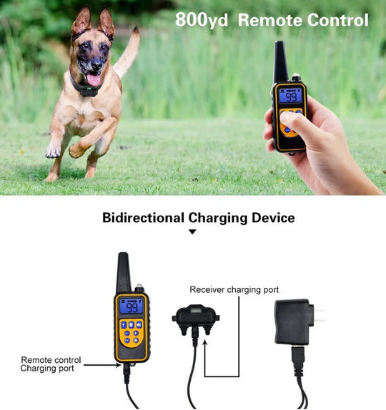 Erziehungshalsband Hund Mit Fernbedienung Wasserdicht Und Anpassbaren Trainingsstufen 4