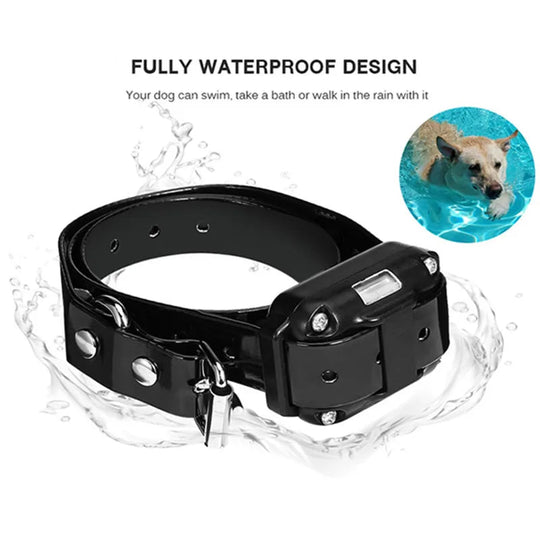 Erziehungshalsband Hund Mit Fernbedienung Wasserdicht Und Anpassbaren Trainingsstufen 6