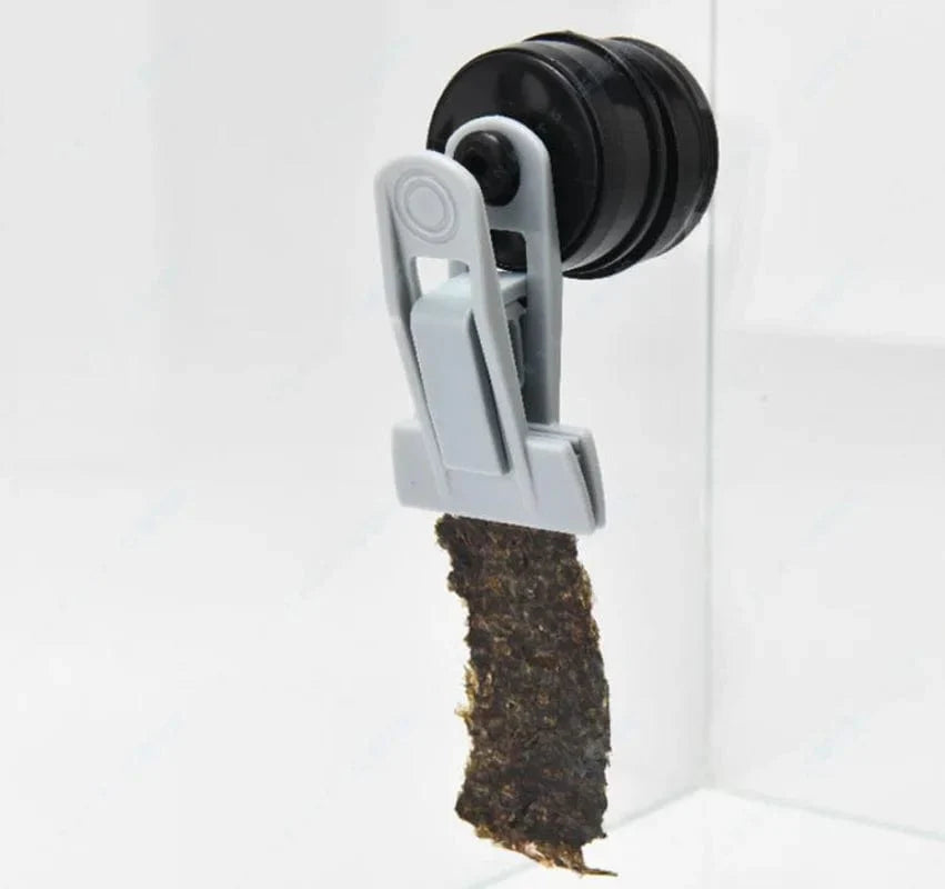 Futterclip Für Gemüse Und Algen Mit Magnetischer Halterung Für Aquarien 1