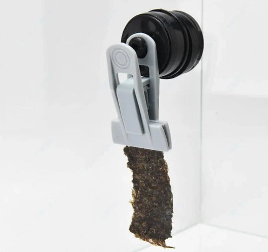 Futterclip Für Gemüse Und Algen Mit Magnetischer Halterung Für Aquarien 1