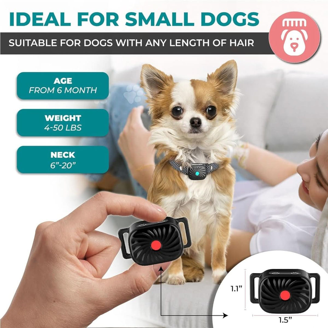 Halsband für kleine Hunde mit Ton und Vibration 1