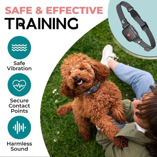 Halsband für kleine Hunde mit Ton und Vibration 2