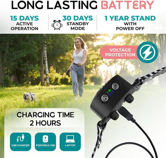 Halsband für kleine Hunde mit Ton und Vibration 3