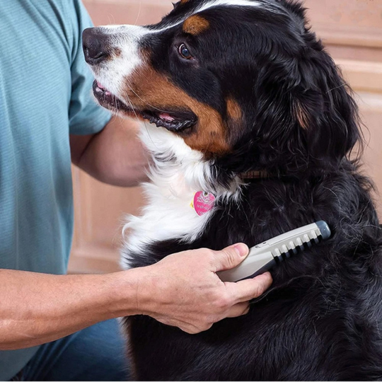 Haustierkamm für Hunde und Katzen zur mühelosen Fellpflege 0