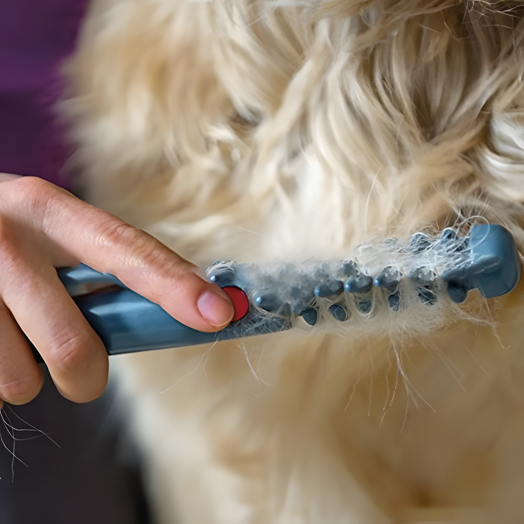 Haustierkamm für Hunde und Katzen zur mühelosen Fellpflege 3