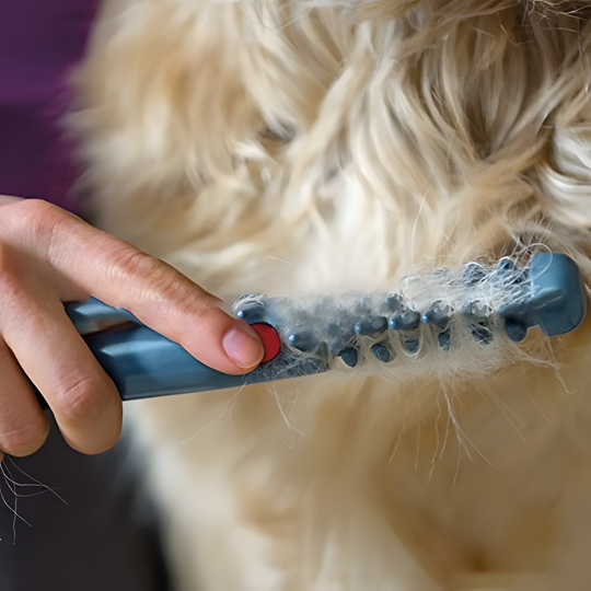 Haustierkamm für Hunde und Katzen zur mühelosen Fellpflege 3