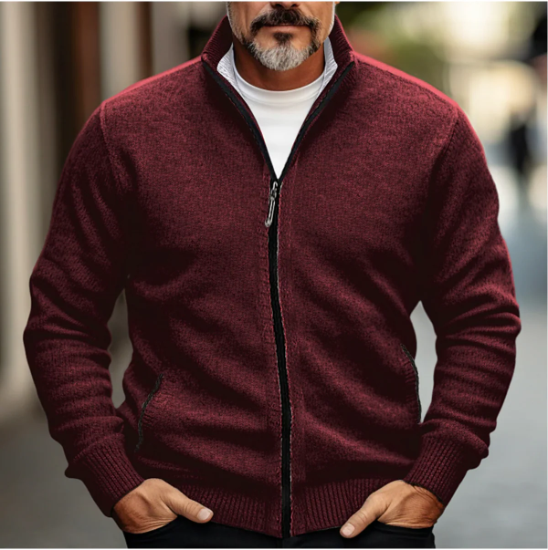 Herren Cardigan mit Reißverschluss und hohem Kragen 3