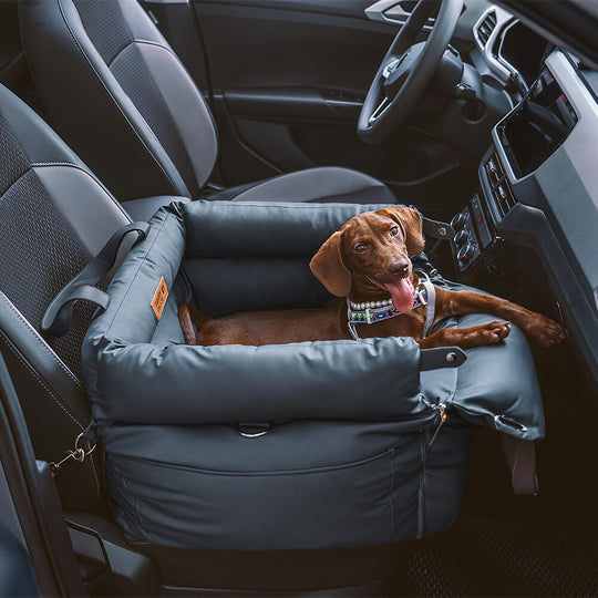 Hunde Autositz Rückbank Sicheres Reisen Komfortabel Plüsch Design 3