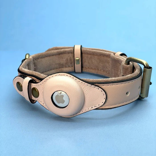 Hunde Halsband mit AirTag-Halterung, Wasserabweisend und Komfortablem Innenfutter 4
