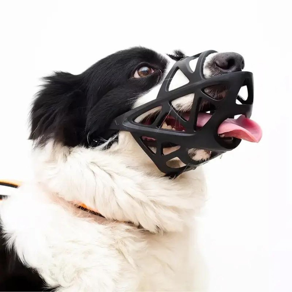 Hunde Maulkorb Für Sicheres Verhalten - Leicht Und Luftdurchlässig 1