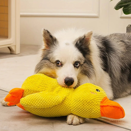 Hunde Spielzeug Quackende Ente Beschäftigung Für Aktives Spielverhalten 4