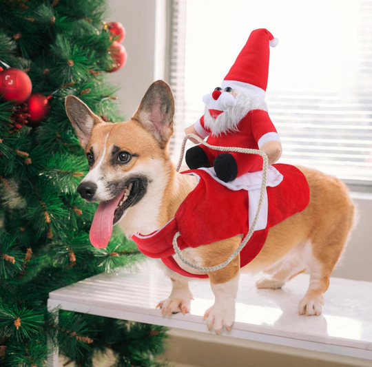 Hunde Weihnachtskostüm Weihnachtsmann Festliches Outfit für Hunde 0
