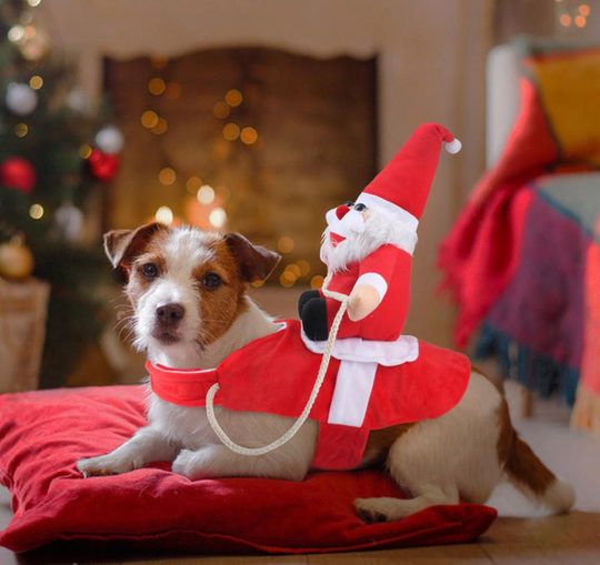 Hunde Weihnachtskostüm Weihnachtsmann Festliches Outfit für Hunde 3