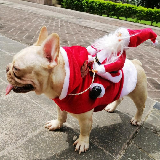 Hunde Weihnachtskostüm Weihnachtsmann Festliches Outfit für Hunde 8