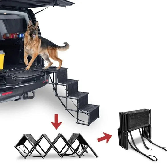 Hundeautotreppe Klappbar für sicheres Ein- und Aussteigen 1