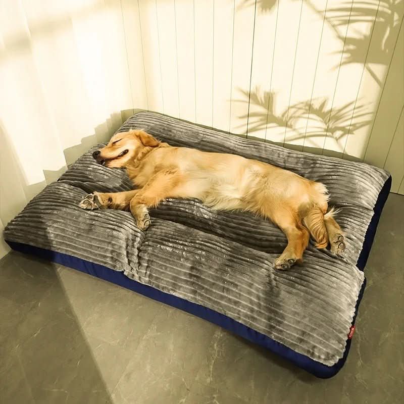 Hundebett Komfortabel für Entspannte Nächte - Weiches Hundekissen mit Abnehmbarem Bezug 0