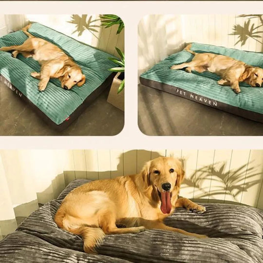 Hundekissen mit Abnehmbarem Bezug für Komfort 2