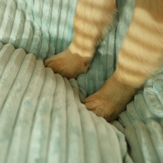 Hundekissen mit Abnehmbarem Bezug für Komfort 6