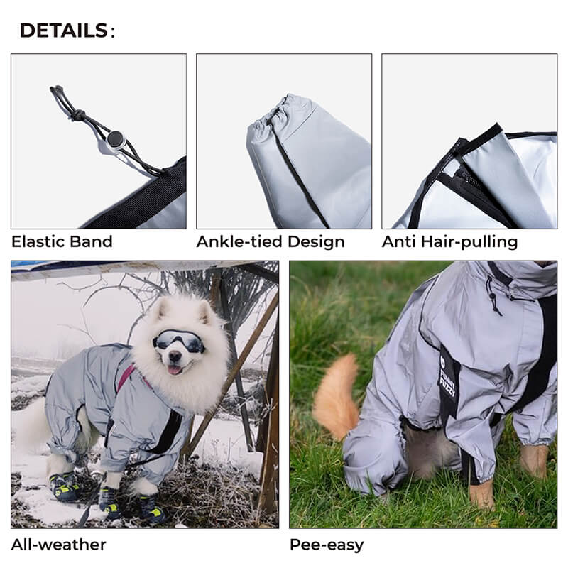 Hundemantel Wasserdicht Reflektierend für Hunde – Regenmantel mit Komfort und Sichtbarkeit 4