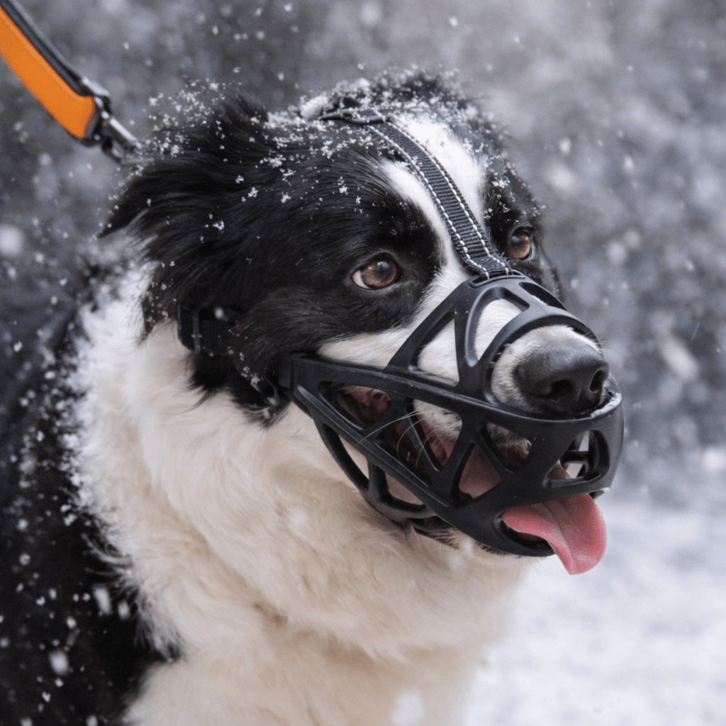 Hundemaulkorb für Hunde, Atmungsaktives Design für Komfort und Kontrolle 0