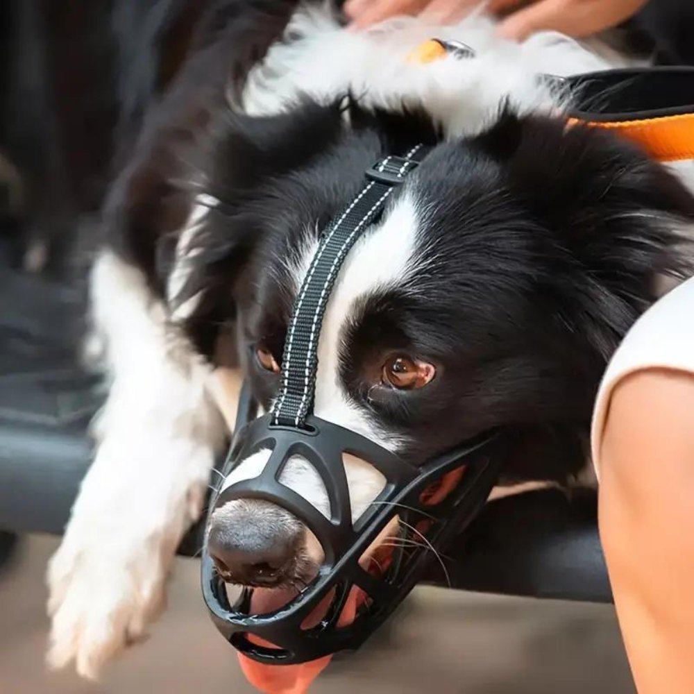 Hundemaulkorb für Hunde, Atmungsaktives Design für Komfort und Kontrolle 2
