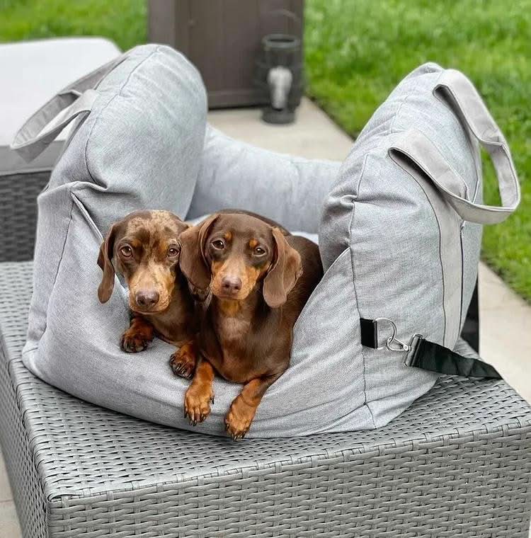 Hundesitzbett Mit Sicherheitsgurt Und Rutschfester Unterlage Für Hunde 8