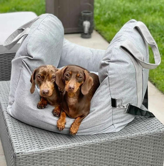Hundesitzbett Mit Sicherheitsgurt Und Rutschfester Unterlage Für Hunde 8