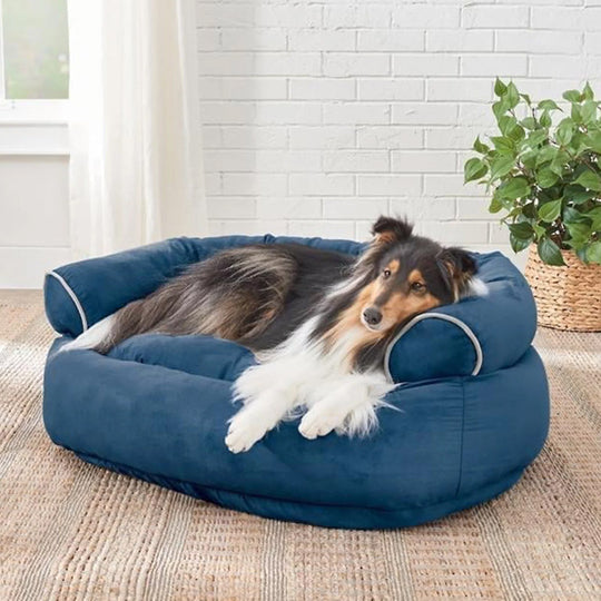 Hundesofa mit weicher Polsterung für optimalen Komfort 3