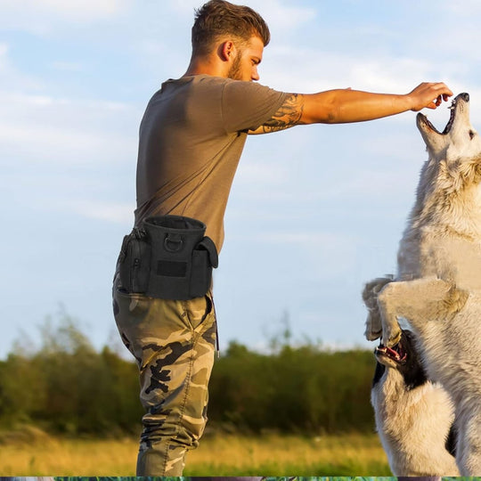 Hundetasche für Snacks und Training mit Praktischem Design und Vielseitigen Fächern 2
