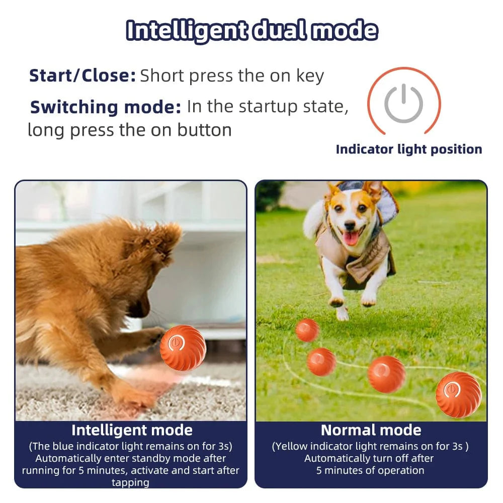 Interaktives Hundespielzeug für kleine Hunde mit LED-Licht und Bewegungssensor 3