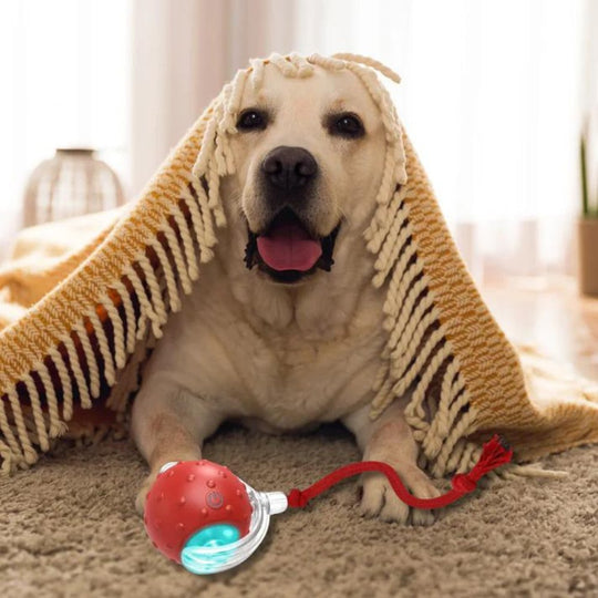 Interaktives Hundespielzeug mit Rollenden Bällen für Beschäftigung und Intelligenz 4