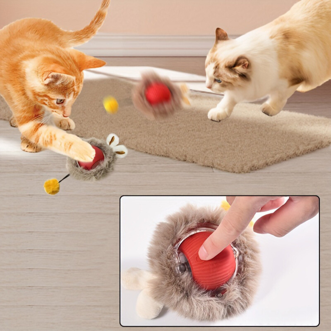 Interaktives Katzenspielzeug Spielzeugball für Katzen mit Bewegungsförderung 1