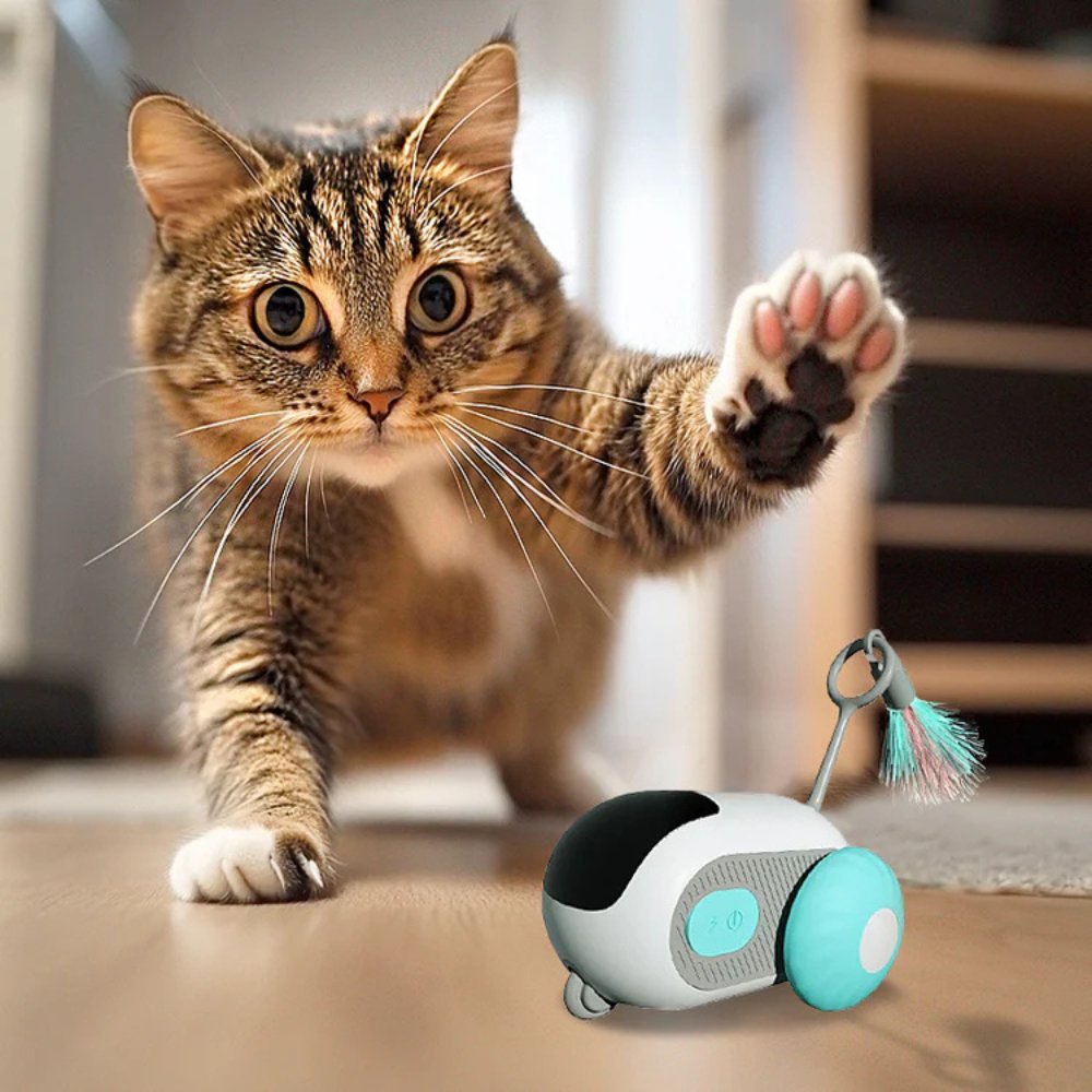 Interaktives Katzenspielzeug für Katzen mit Jagdfähigkeiten – Stundenlanger Spaß und Unterhaltung 0