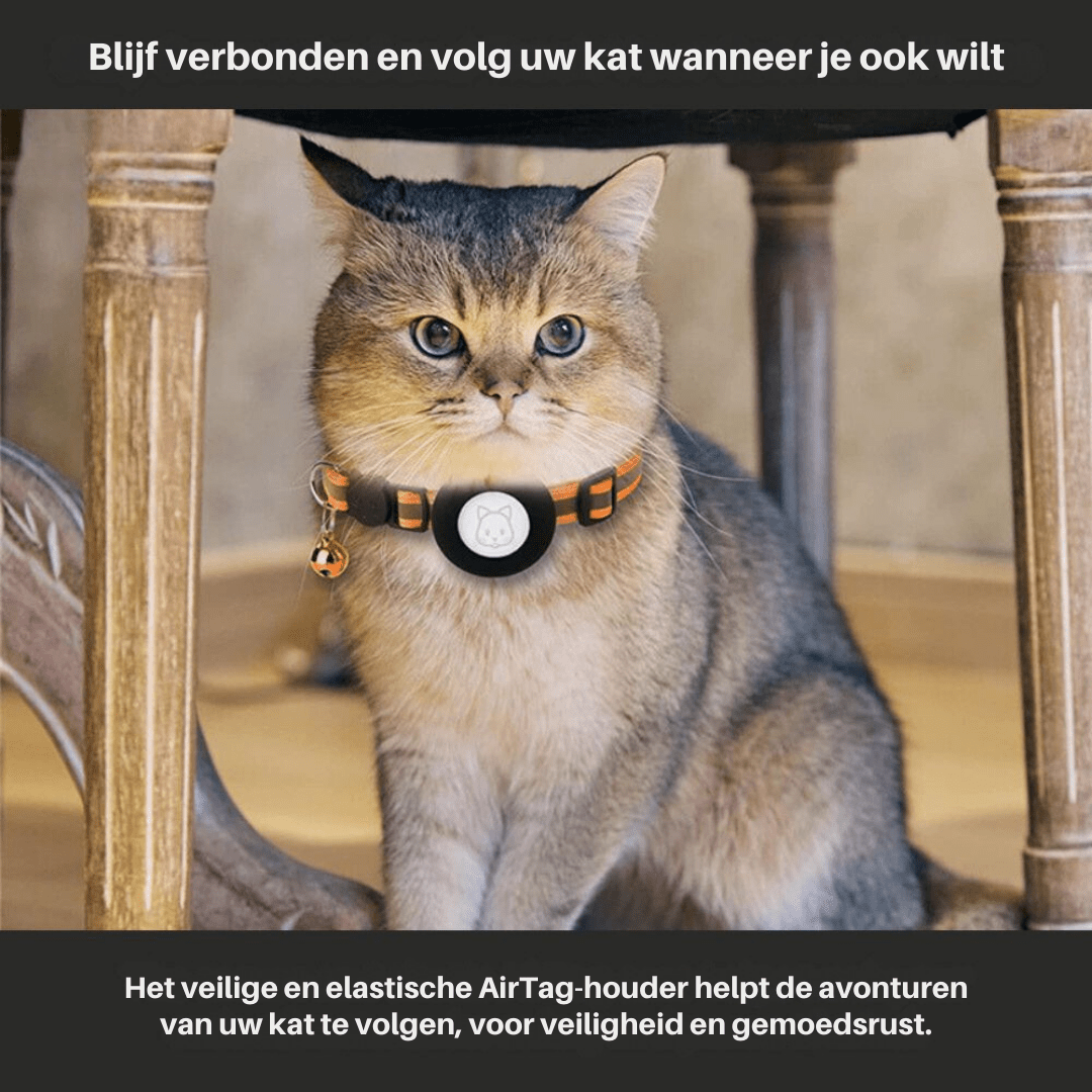 Katzen GPS Tracker Halsband mit reflektierenden Elementen 3