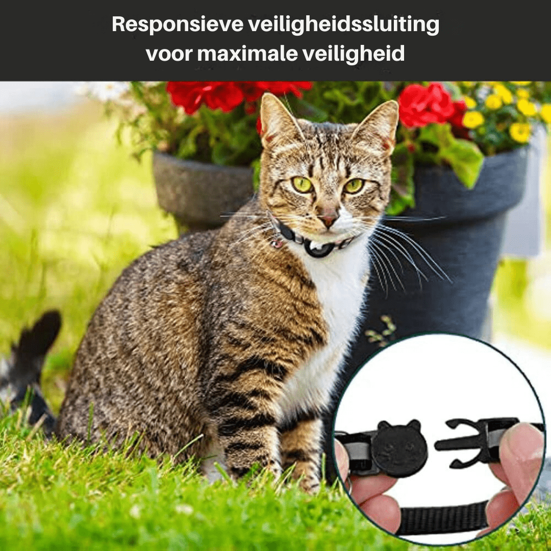 Katzen GPS Tracker Halsband mit reflektierenden Elementen 5