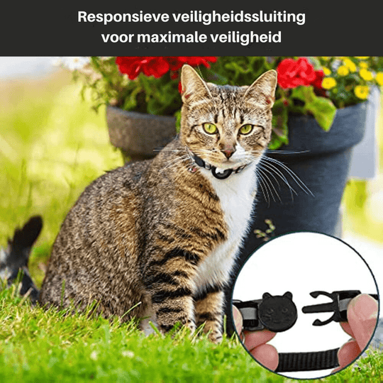 Katzen GPS Tracker Halsband mit reflektierenden Elementen 5