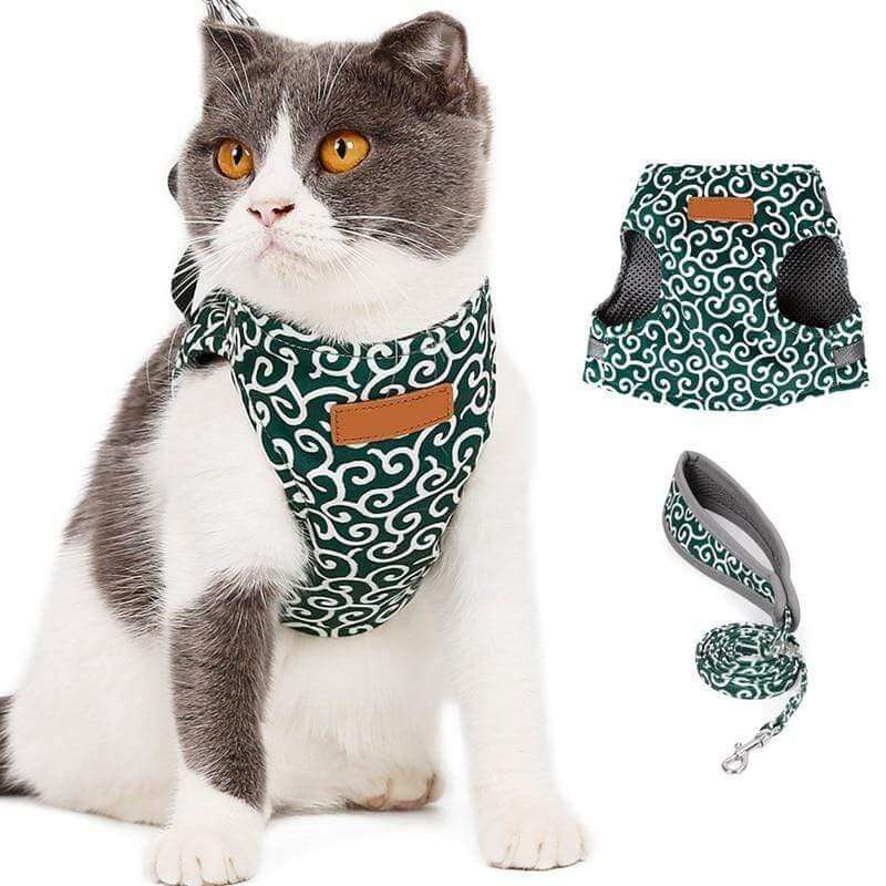 Katzen Geschirr Set für Outdoor Abenteuer 2