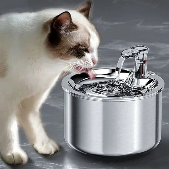 Katzentrinksystem mit Sensor und 4-Stufen-Filtration 0