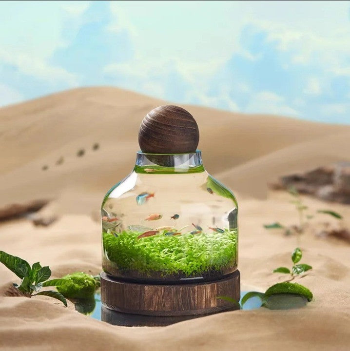 Kompaktes Nano Aquarium für Kleine Fische und Aquarienpflanzen 0