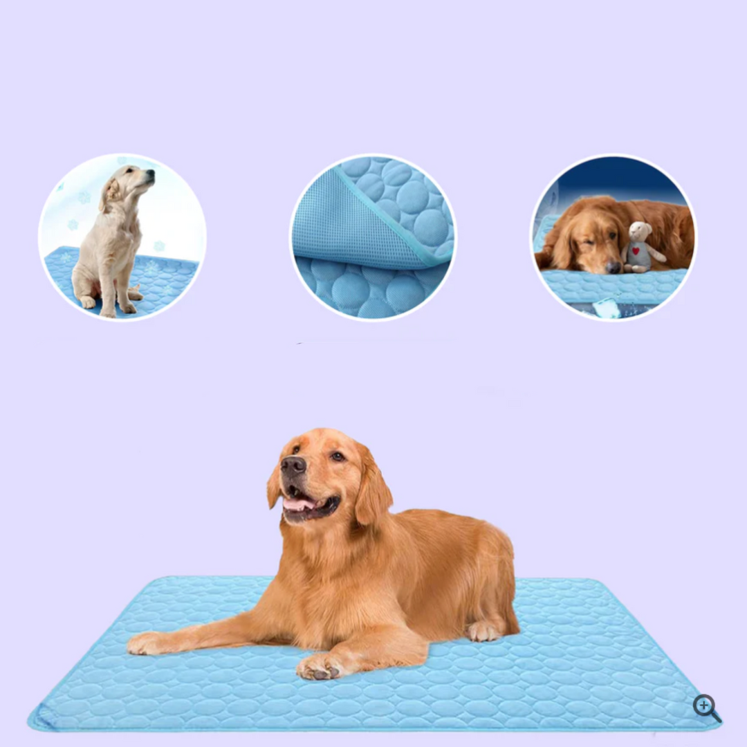 Kühlmatte für Hunde Innovatives Design für Sommerkomfort 1
