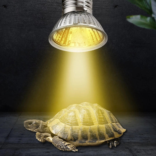 Reptilien Lampe UVA+UVB mit Temperaturregelung für Terrarien und Aquarien 5