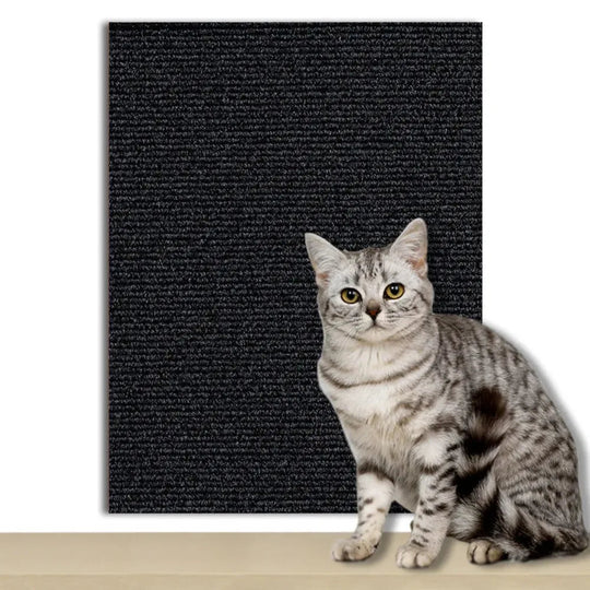 Selbstklebende Kratzschutzplatte für Katzen - Transparente Möbel- und Wandabdeckung 12