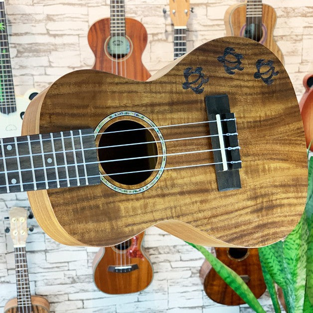 Ukulele 23 Zoll Konzertstil für Damen und Herren 1