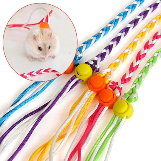 Verstellbare Leine für Kleine Haustiere mit Brustgurt 1