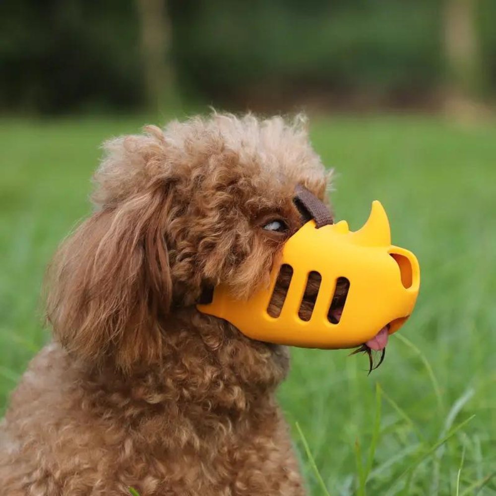 Verstellbarer Maulkorb für Hunde Atmungsaktiv und Komfortabel, Ideal für Kleine und Große Hunde 1