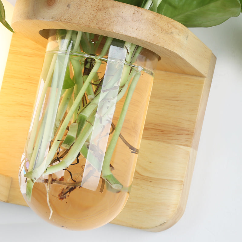 Wandleuchte aus Holz im Art-Deco-Stil mit Hydrokultur-Blumentopf 1