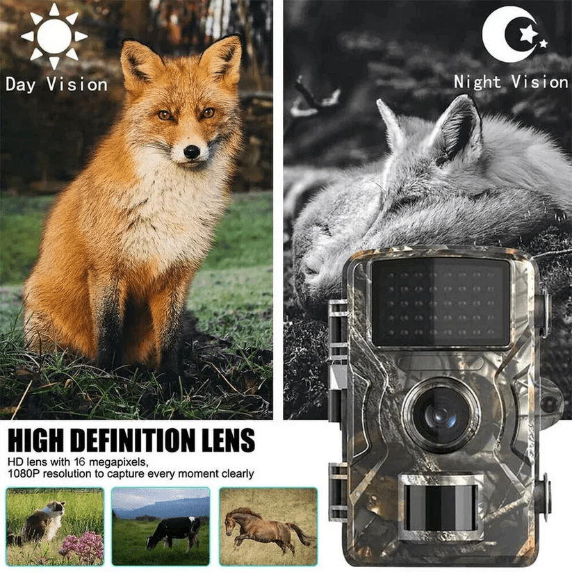 Wildkamera mit Nachtsicht und 1080P HD-Video 1